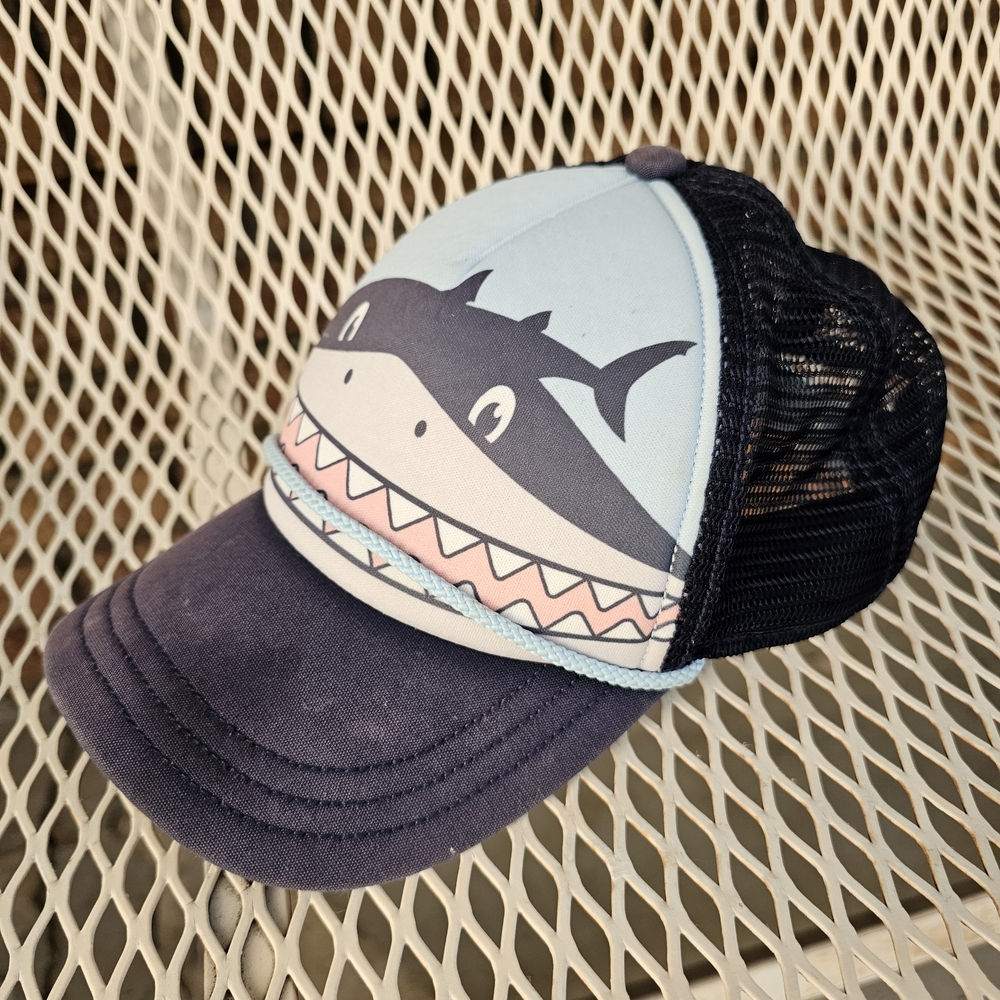 Patagonia Blue and Black Trucker Hat